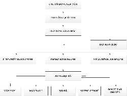Sơ đồ tổ chức